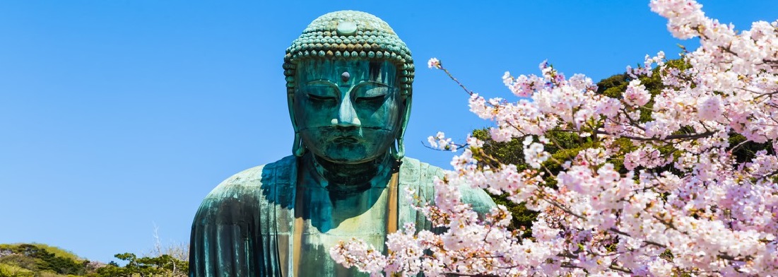 Cherry Blossom Tours, Japan